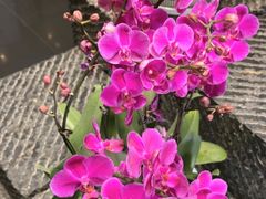 -黔蘑菇四季餐厅(观山湖店)