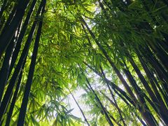-中国人民抗日战争胜利受降纪念馆