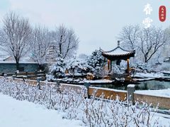 -三里河公园