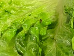 -九田家黑牛烤肉料理(太阳城店)