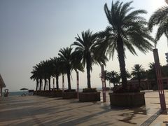 -玫瑰海岸文化旅游度假区