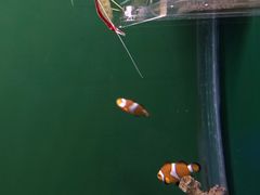 -大连圣亚海洋世界
