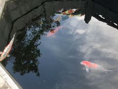 -西安市广仁寺