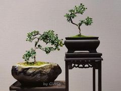 -北海公园