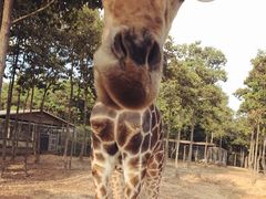 -清迈夜间动物园