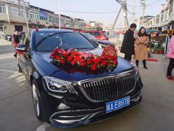 -蚂蚁婚车