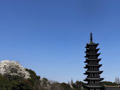 -上海方塔园