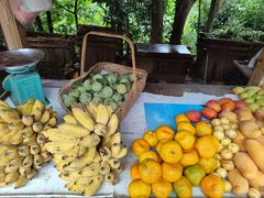 -墨江北回归线标志园