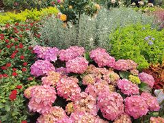 -人民公园(罗湖区)