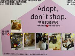 -PO PARK东方宝泰