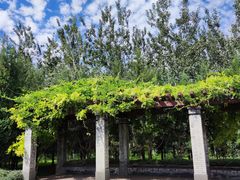 -永定河休闲森林公园