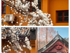 -杭州上天竺法喜讲寺