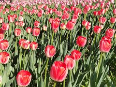 -长春公园(普阳街道)