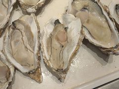 -码头鲜精致威海菜(欧乐坊店)