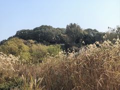 -上海市保健医疗中心