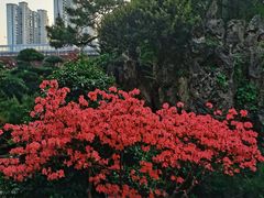 -华雅花园大酒店