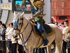 -海合安武汉极地海洋公园