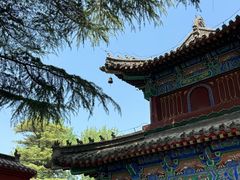 -洛阳白马寺