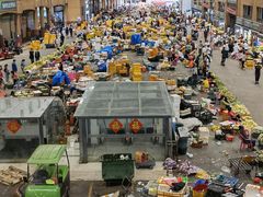 -三亚新鸿港水果一级批发市场