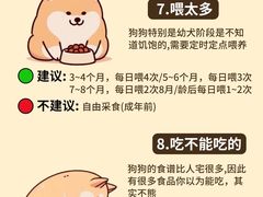 -申普宠物医院(总院)