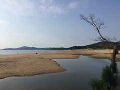 -普陀山风景名胜区-千步大沙