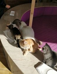 -萌宠亲子动物乐园(槐房万达店)