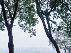 -大蜀山国家森林公园