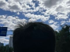 -新荟城(望京店)