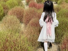 -映月湖中央公园