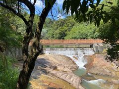 -广州白江湖森林公园