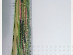 -春花秋色城市公园