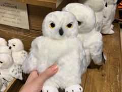 -九又四分之三站台哈利波特商店