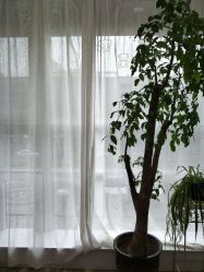 -星豆豆儿童摄影(南郊太白南路店)