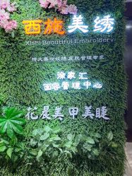 -西施无菌半永久纹绣眉眼影唇轻增发纹发际线