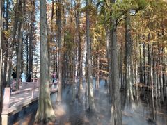 -东湖落雁景区