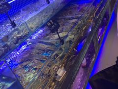 -渔民船说·北塘海鲜·天津菜·海肠捞饭(北塘古镇店)
