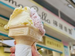 -柠檬车露(卖草地店)