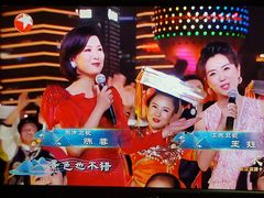 -上海港国际客运中心1号游艇码头