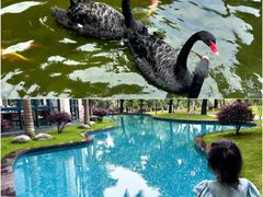 -惠州金海湾嘉华度假酒店