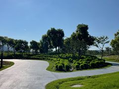 -春花秋色城市公园