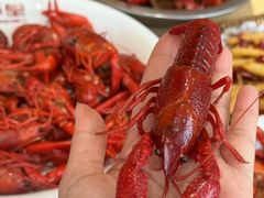 -虾皇(龙虾城旗舰店)