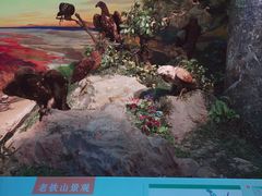 -大连自然博物馆
