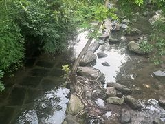 -重庆彩云湖湿地公园