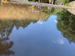 -北京西山国家森林公园