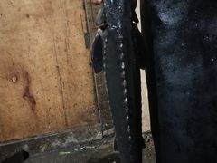 -姚记抚仙湖石锅鱼庄