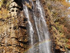 -龙道沟景区