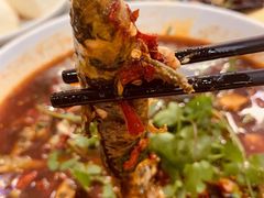 水煮岷江河黄辣丁-胖大姐黄辣丁鱼庄(新津店)