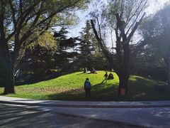 -银树楼(紫玉山庄东区店)