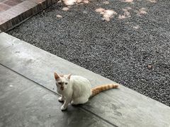 -喜洲吧·江畔老船厂·庭院餐厅(喜临院店)