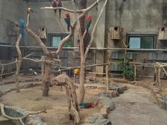 -大连森林动物园